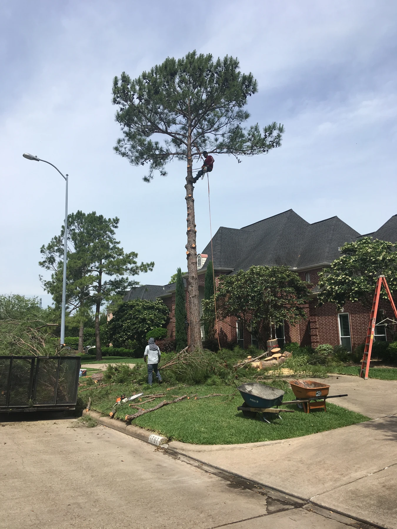 Tree work underway in a residential front yard